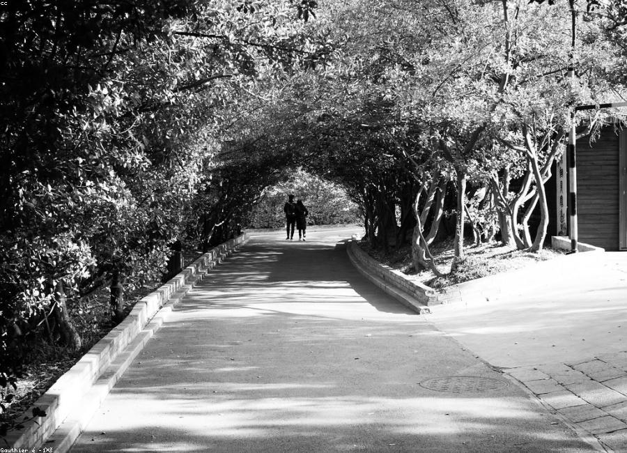 Urban walking route with public space nearby